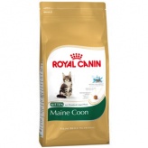 Royal Canin Maine Coon Kitten Полнорационный корм для котят породы мейн-кун в возрасте от 3 до 15 месяцев.