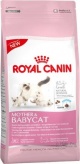 Royal Canin Mother&Babycat (Мазэ энд бэйбикэт)Полнорационный корм для котят в возрасте от 1 до 4 месяцев, а также для кошек в период беременности и лактации