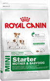 Royal Canin Mini Starter (Мини Стартер) Корм Мини Стартер для щенков, а также для беременных и лактирующих сук 